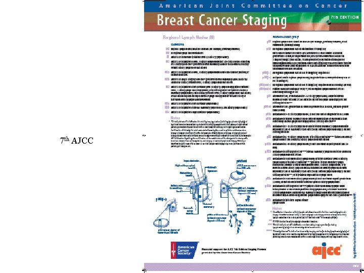 7 TH AJCC 7 th AJCC 