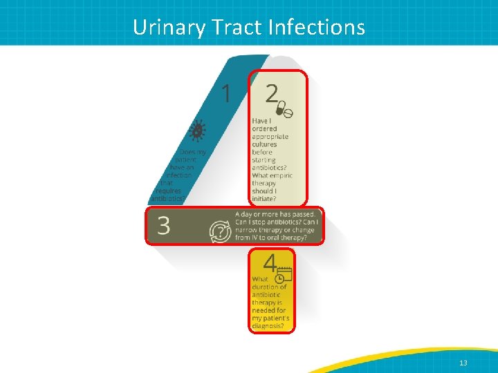 Urinary Tract Infections 13 