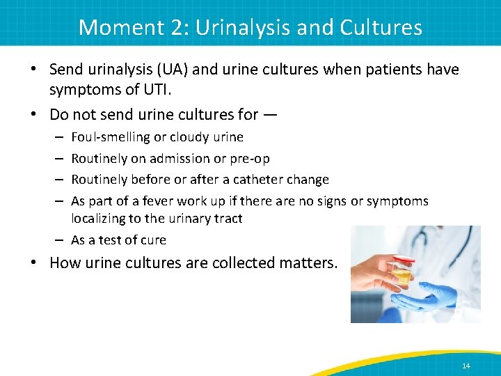 Moment 2: Urinalysis and Cultures • Send urinalysis (UA) and urine cultures when patients