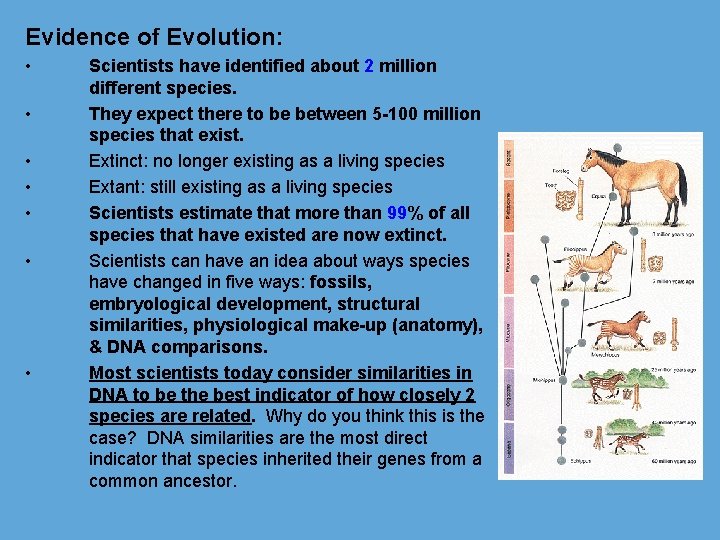 Evidence of Evolution: • • Scientists have identified about 2 million different species. They