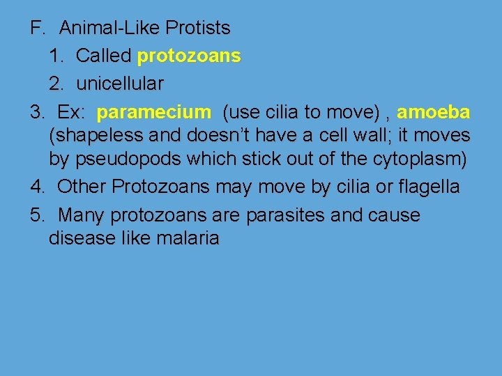 F. Animal-Like Protists 1. Called protozoans 2. unicellular 3. Ex: paramecium (use cilia to