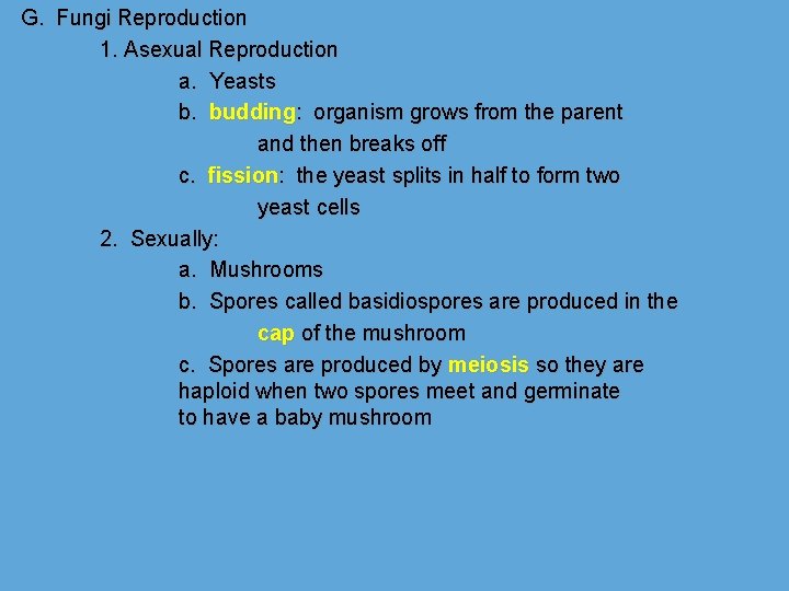 G. Fungi Reproduction 1. Asexual Reproduction a. Yeasts b. budding: organism grows from the