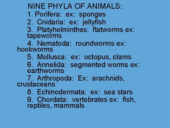 NINE PHYLA OF ANIMALS: 1. Porifera: ex: sponges 2. Cnidaria: ex: jellyfish 3. Platyhelminthes: