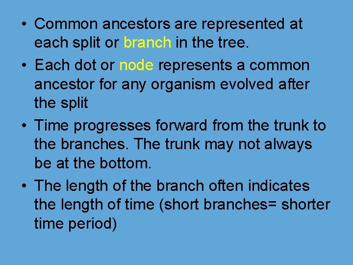  • Common ancestors are represented at each split or branch in the tree.