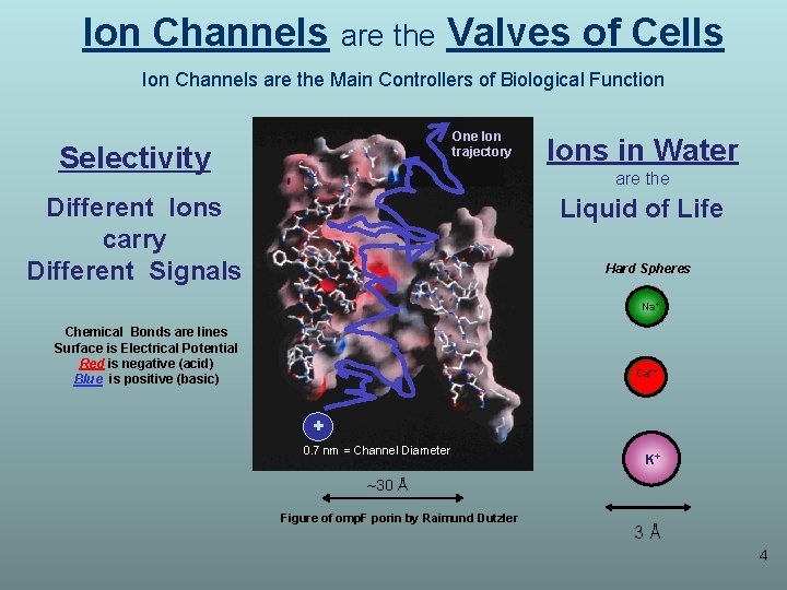 Ion Channels are the Valves of Cells Ion Channels are the Main Controllers of