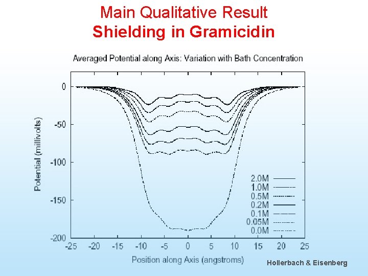 Main Qualitative Result Shielding in Gramicidin Hollerbach & Eisenberg 49 