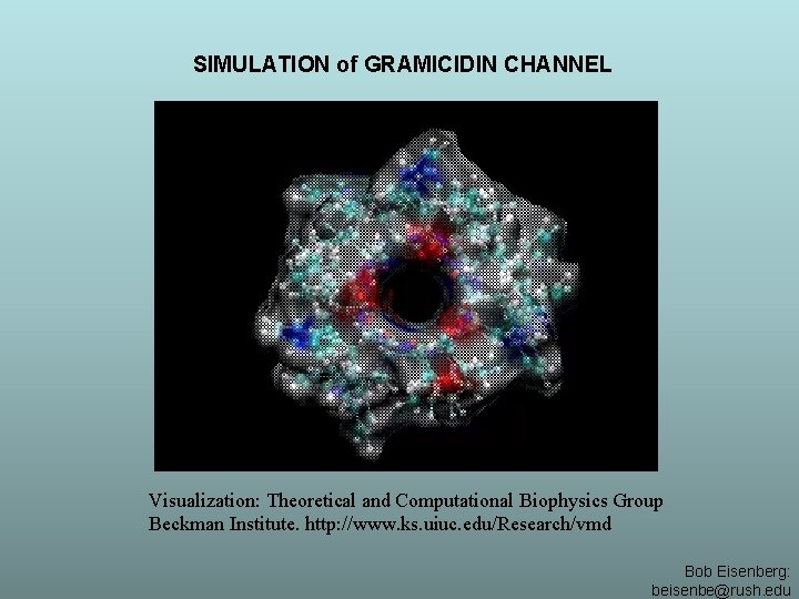 SIMULATION of GRAMICIDIN CHANNEL Visualization: Theoretical and Computational Biophysics Group Beckman Institute. http: //www.