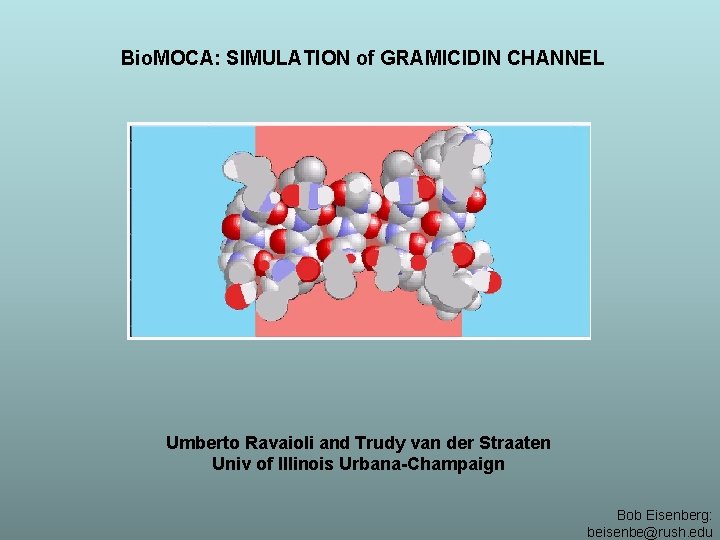 Bio. MOCA: SIMULATION of GRAMICIDIN CHANNEL Umberto Ravaioli and Trudy van der Straaten Univ