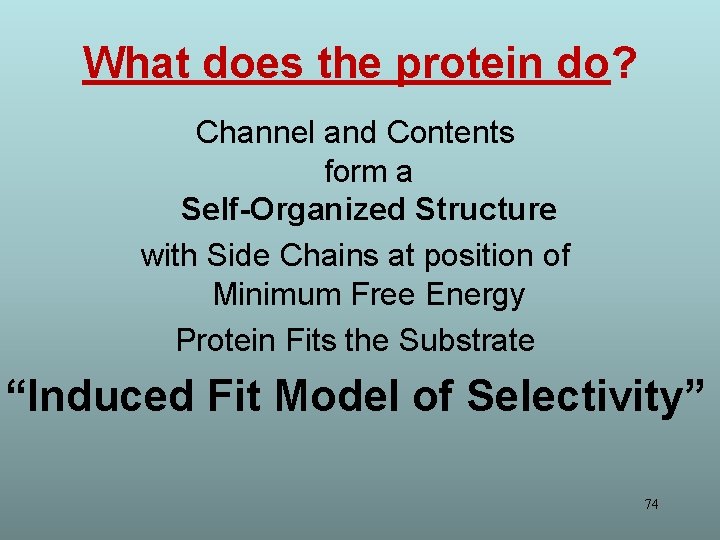 What does the protein do? Channel and Contents form a Self-Organized Structure with Side