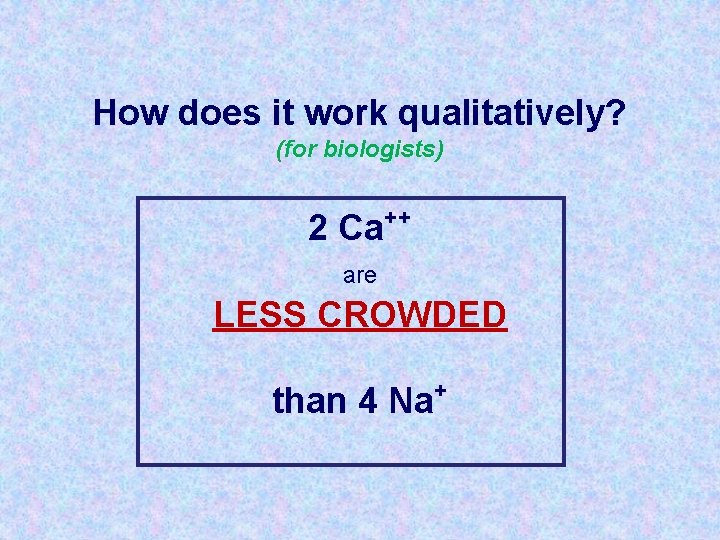 How does it work qualitatively? (for biologists) 2 Ca ++ are LESS CROWDED than
