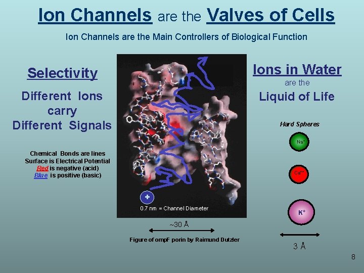 Ion Channels are the Valves of Cells Ion Channels are the Main Controllers of