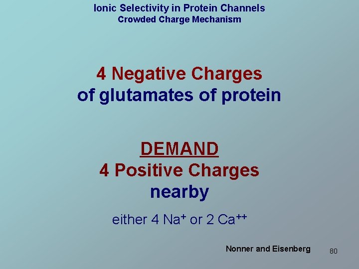 Ionic Selectivity in Protein Channels Crowded Charge Mechanism 4 Negative Charges of glutamates of