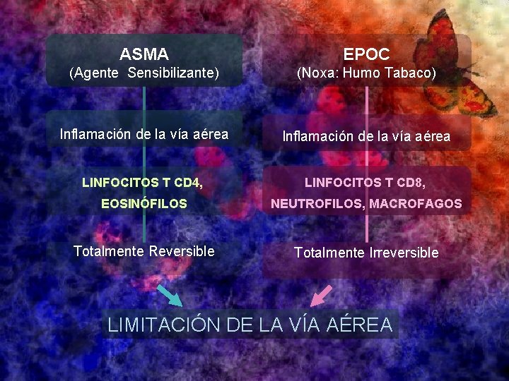 ASMA EPOC (Agente Sensibilizante) (Noxa: Humo Tabaco) Inflamación de la vía aérea LINFOCITOS T