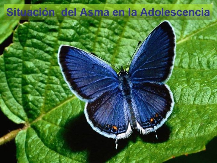 Situación del Asma en la Adolescencia 