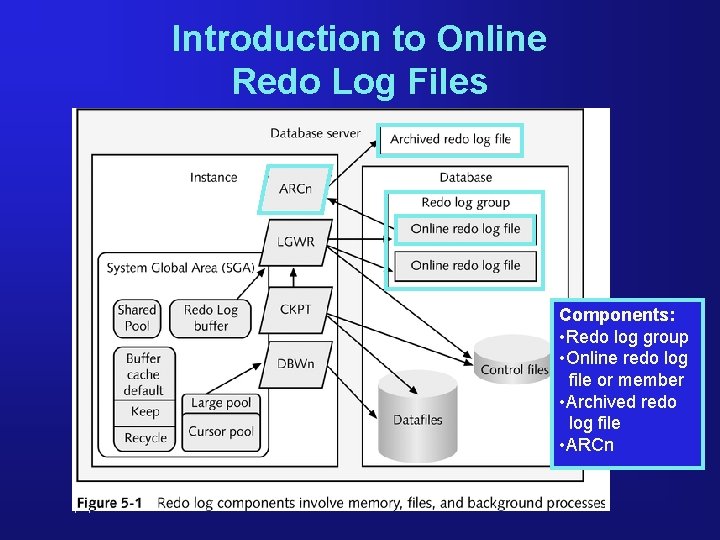 Introduction to Online Redo Log Files Components: • Redo log group • Online redo Introduction to Online Redo Log Files Components: • Redo log group • Online redo
