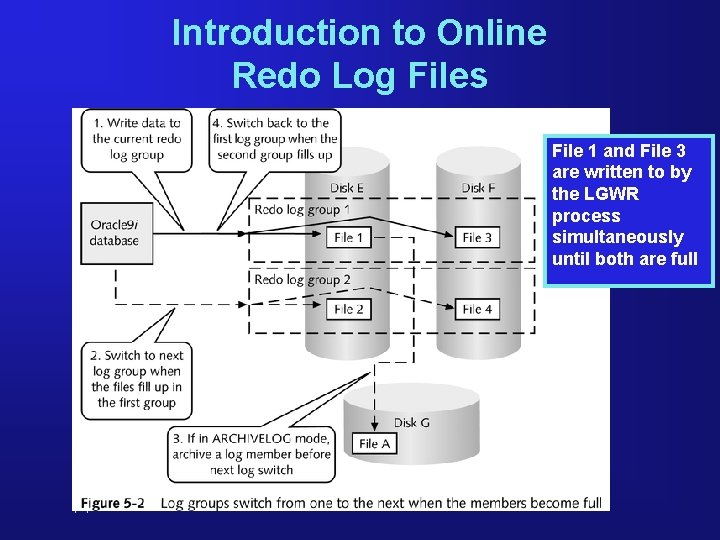 Introduction to Online Redo Log Files File 1 and File 3 are written to Introduction to Online Redo Log Files File 1 and File 3 are written to