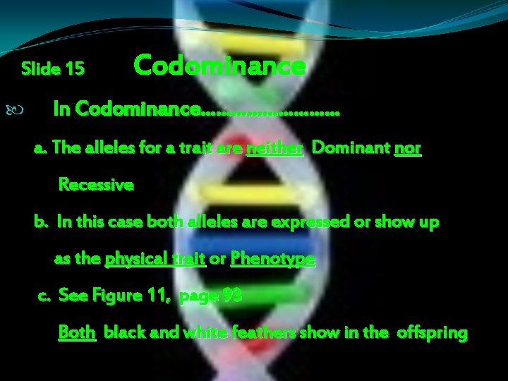 Slide 15 Codominance In Codominance…………… a. The alleles for a trait are neither Dominant