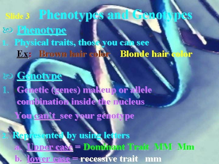 Slide 3 Phenotypes and Genotypes Phenotype 1. Physical traits, those you can see Ex: