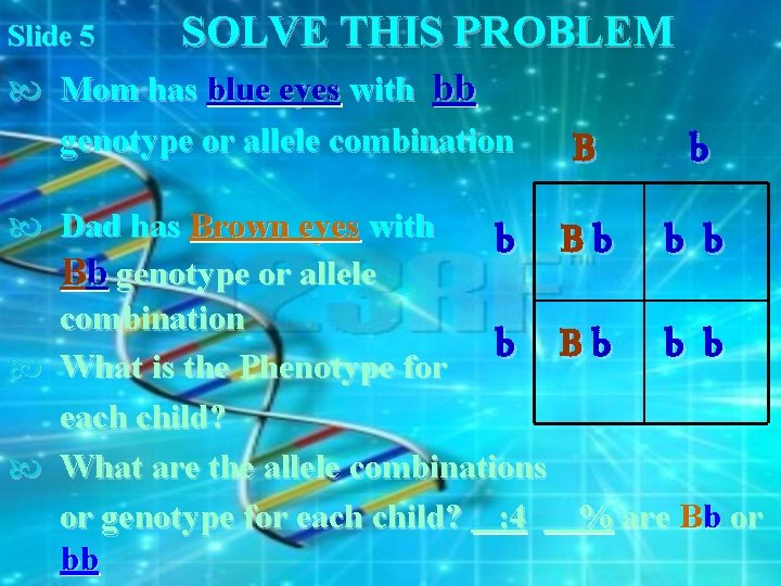 Slide 5 SOLVE THIS PROBLEM Mom has blue eyes with bb genotype or allele