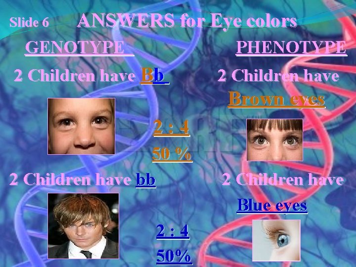 Slide 6 ANSWERS for Eye colors GENOTYPE PHENOTYPE 2 Children have Bb 2 Children