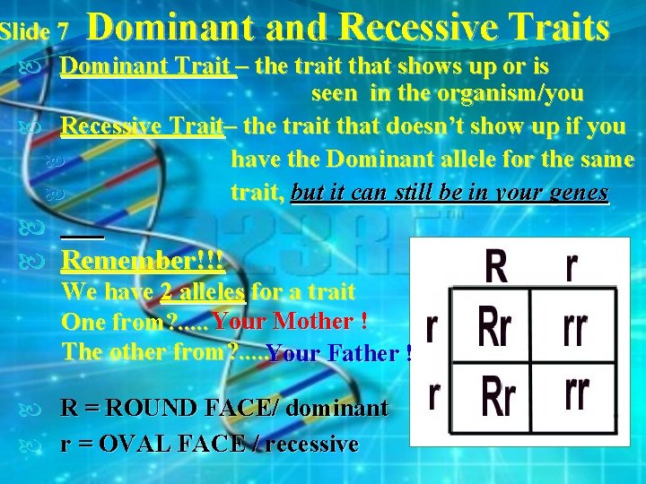 Slide 7 Dominant and Recessive Traits Dominant Trait – the trait that shows up