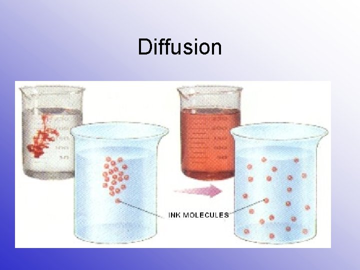 Movement Through Cell Boundaries Active and Passive Transport