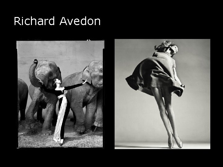 Richard Avedon 