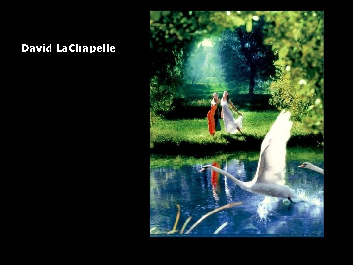 David La. Chapelle 