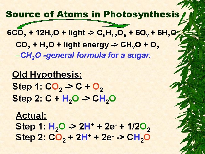 Source of Atoms in Photosynthesis 6 CO 2 + 12 H 2 O +