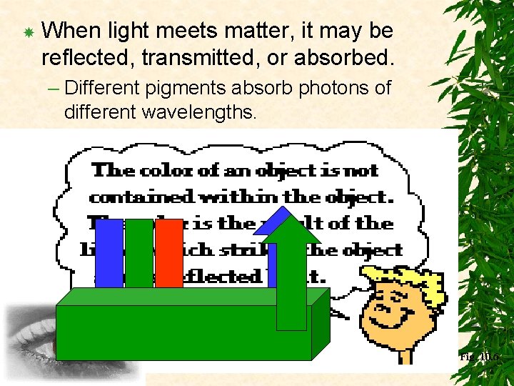  When light meets matter, it may be reflected, transmitted, or absorbed. – Different