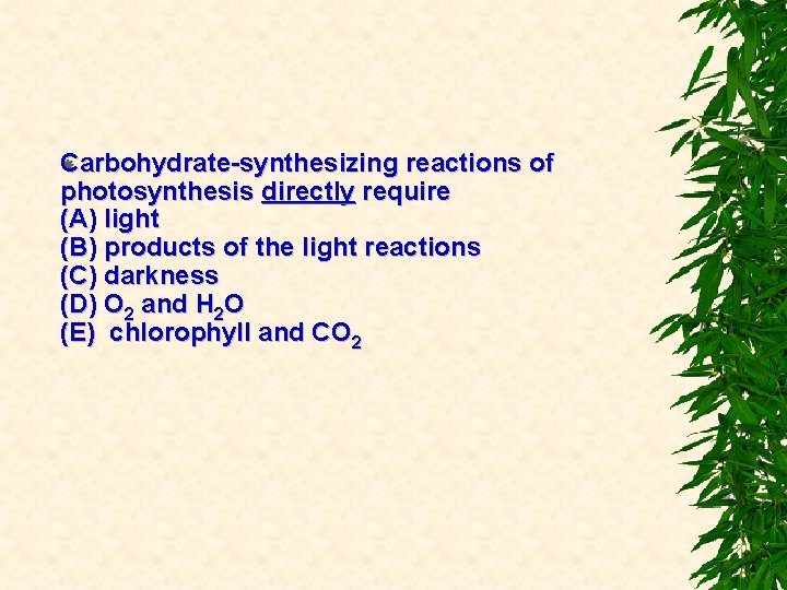 Carbohydrate-synthesizing reactions of photosynthesis directly require (A) light (B) products of the light reactions