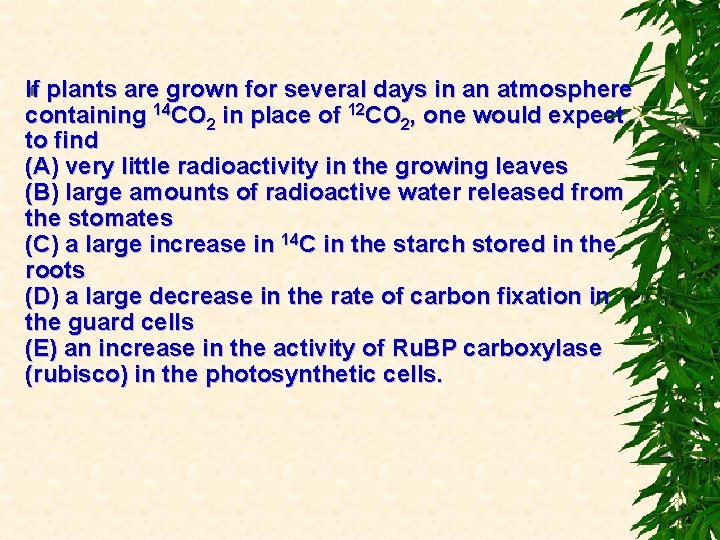 If If plants are grown for several days in an atmosphere containing 14 CO