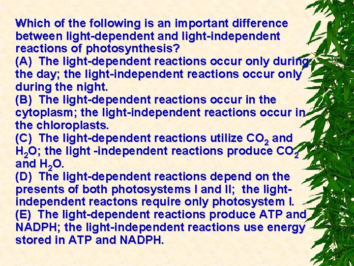 Which of the following is an important difference between light-dependent and light-independent reactions of
