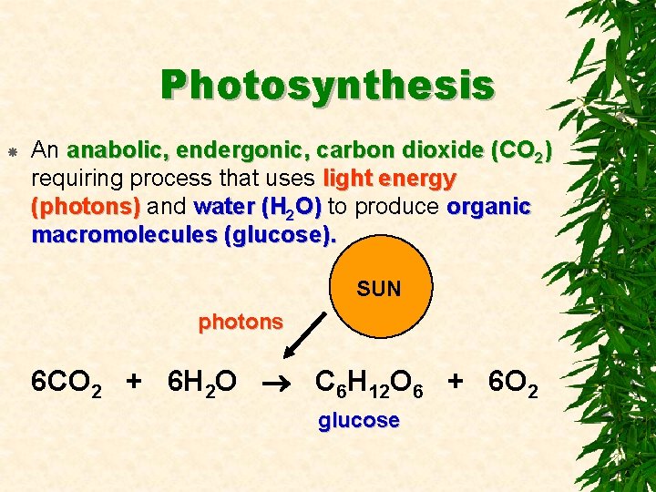 Photosynthesis An anabolic, endergonic, carbon dioxide (CO 2) requiring process that uses light energy