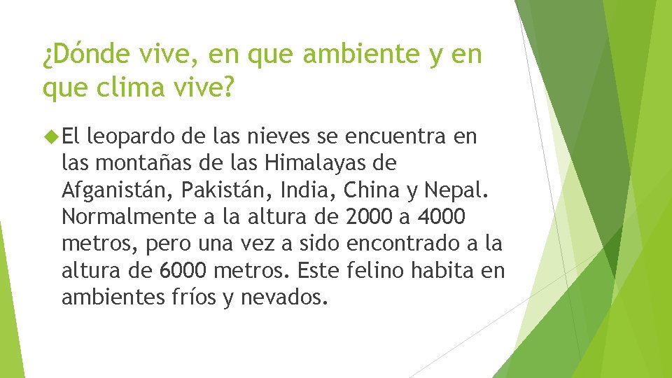 ¿Dónde vive, en que ambiente y en que clima vive? El leopardo de las