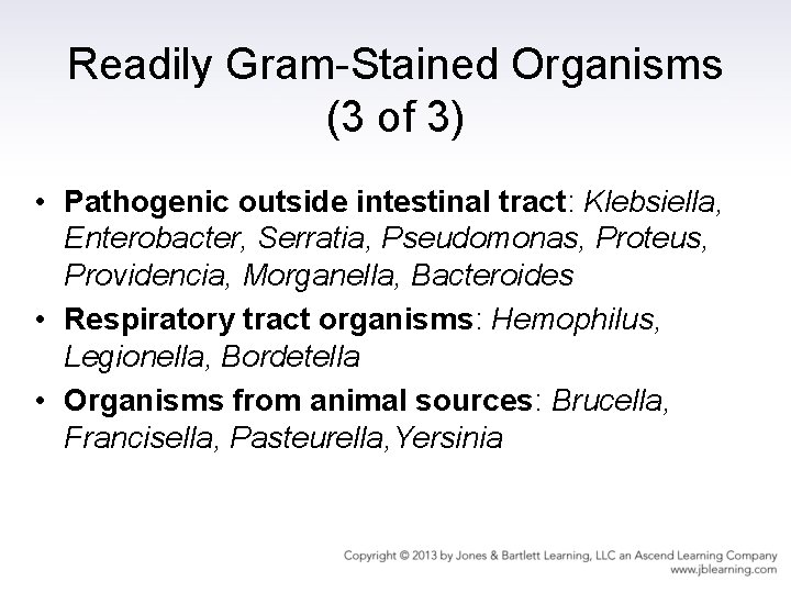 Readily Gram-Stained Organisms (3 of 3) • Pathogenic outside intestinal tract: Klebsiella, Enterobacter, Serratia,