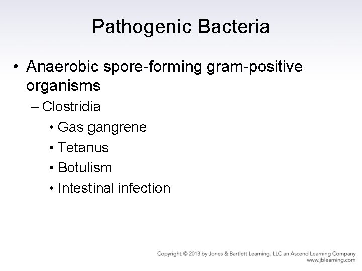 Pathogenic Bacteria • Anaerobic spore-forming gram-positive organisms – Clostridia • Gas gangrene • Tetanus