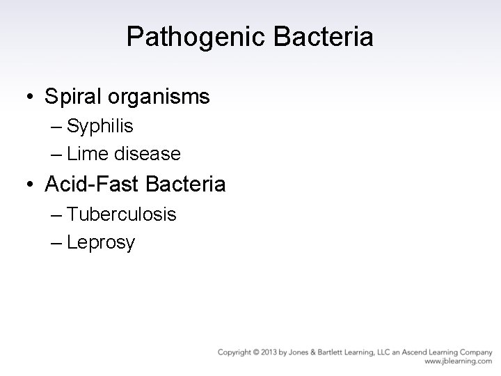 Pathogenic Bacteria • Spiral organisms – Syphilis – Lime disease • Acid-Fast Bacteria –