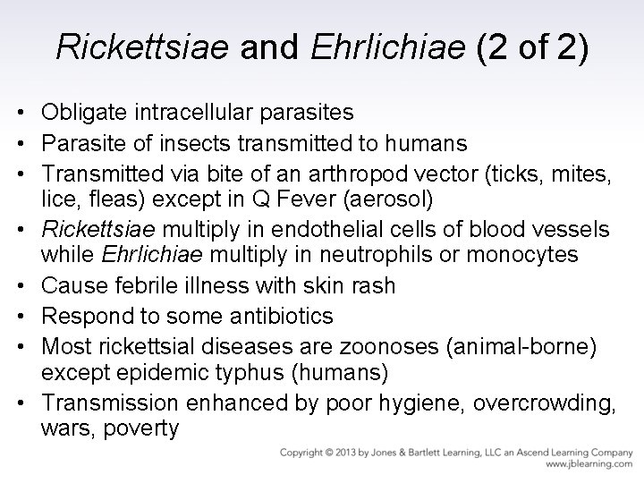 Rickettsiae and Ehrlichiae (2 of 2) • Obligate intracellular parasites • Parasite of insects
