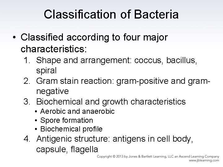Classification of Bacteria • Classified according to four major characteristics: 1. Shape and arrangement: