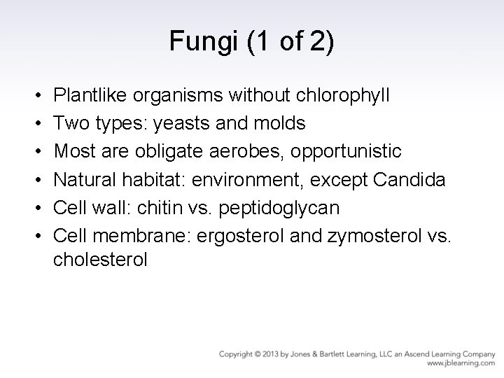 Fungi (1 of 2) • • • Plantlike organisms without chlorophyll Two types: yeasts