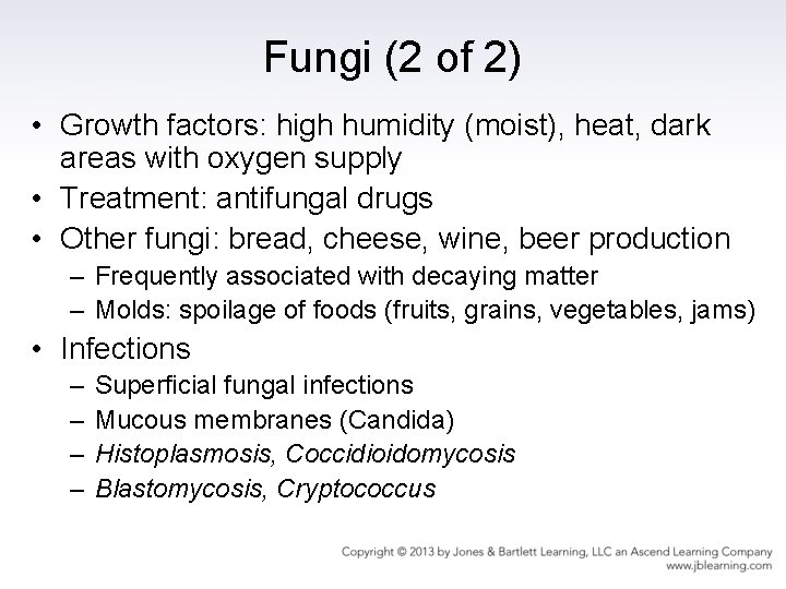 Fungi (2 of 2) • Growth factors: high humidity (moist), heat, dark areas with
