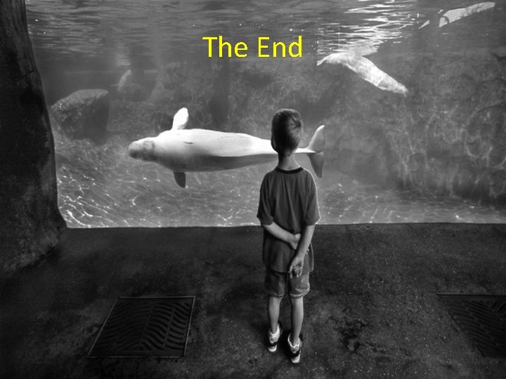 The End 