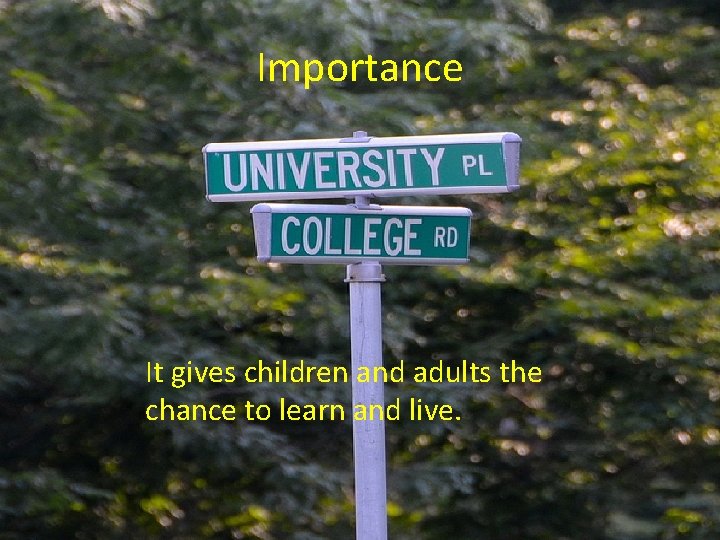 Importance It gives children and adults the chance to learn and live. 