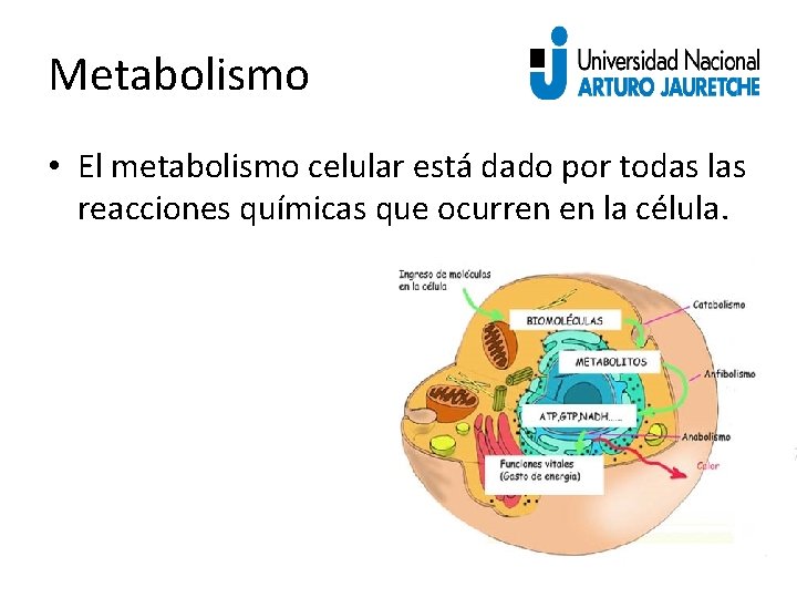 Fsica y Qumica Biolgica Licenciatura en Enfermera Clase