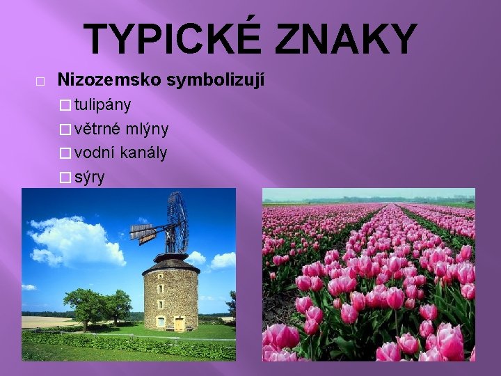 TYPICKÉ ZNAKY � Nizozemsko symbolizují � tulipány � větrné mlýny � vodní kanály �