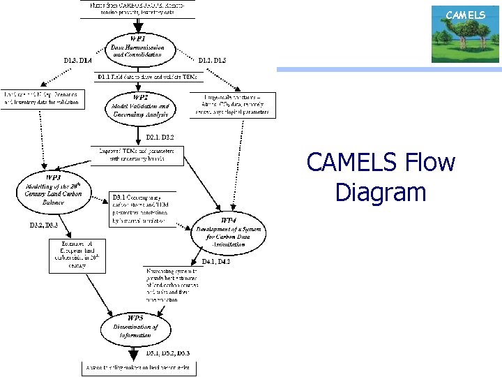 CAMELS Flow Diagram 