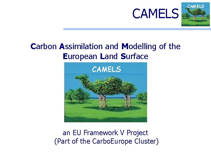 CAMELS Carbon Assimilation and Modelling of the European Land Surface CAMELS an EU Framework
