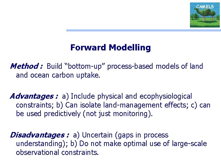 CAMELS Forward Modelling Method : Build “bottom-up” process-based models of land ocean carbon uptake.