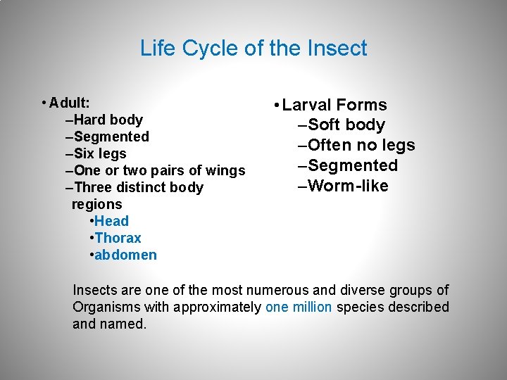 Life Cycle of the Insect • Adult: –Hard body –Segmented –Six legs –One or
